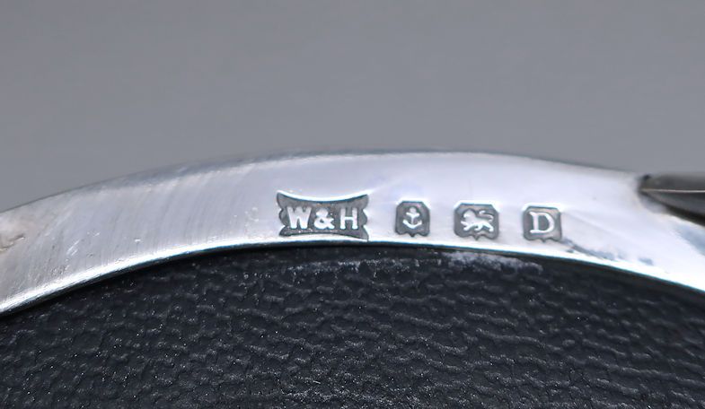 W36x23h